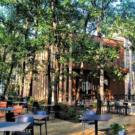 Longosphere Glamping