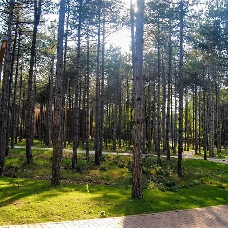 Longosphere Glamping Luxusní stan Kırklareli