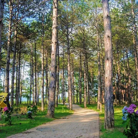 Longosphere Glamping