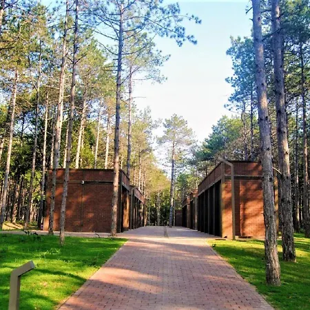 Longosphere Glamping * Kirklareli