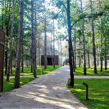 Longosphere Glamping *