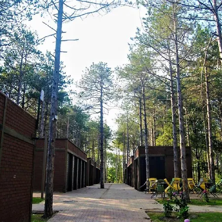 Longosphere Glamping *