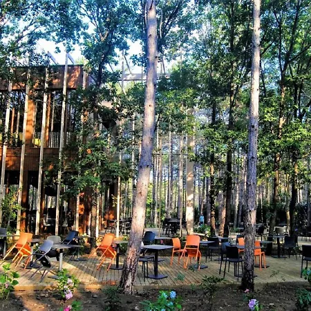 Longosphere Glamping