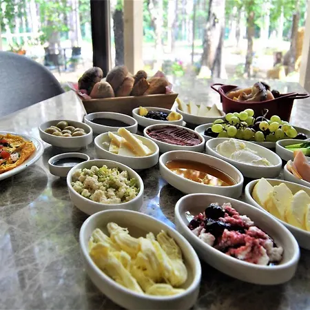 Longosphere Glamping *