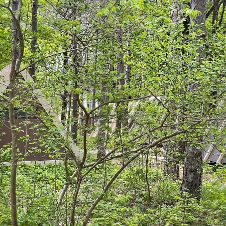 Longosphere Glamping Kırklareli