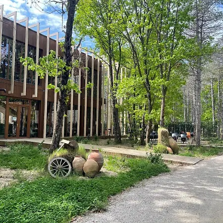 Longosphere Glamping *