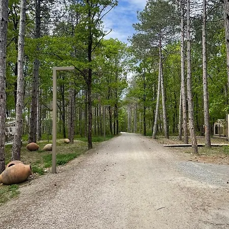 Longosphere Glamping