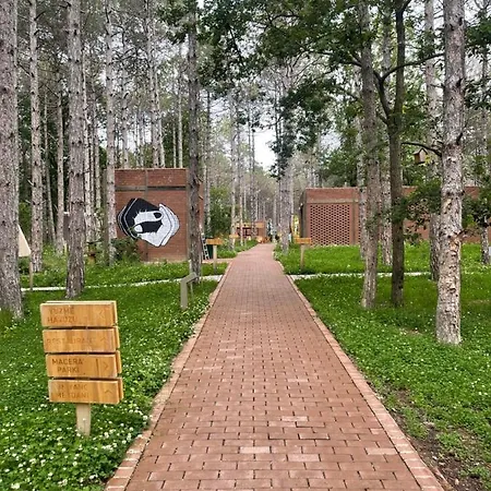 Longosphere Glamping