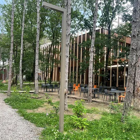 Longosphere Glamping