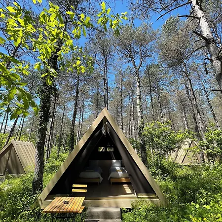 Longosphere Glamping